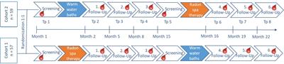 Effects of serial radon spa therapy on pain and peripheral immune status in patients suffering from musculoskeletal disorders– results from a prospective, randomized, placebo-controlled trial